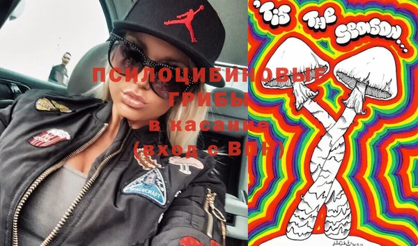 индика Михайловка